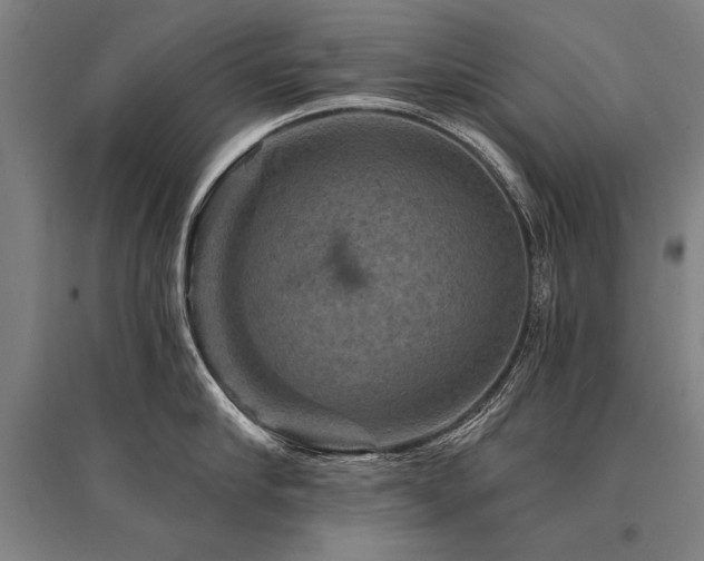 X0000095550910200712141552