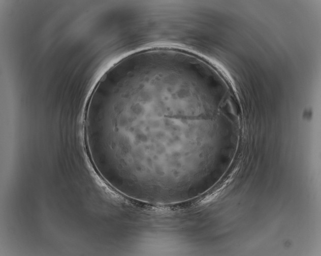 X0000095550911200712141552