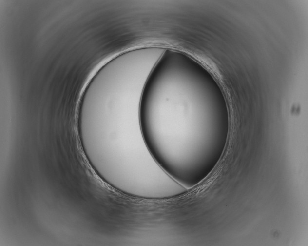 X0000095550912200712141552