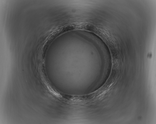 X0000095550913200712141551