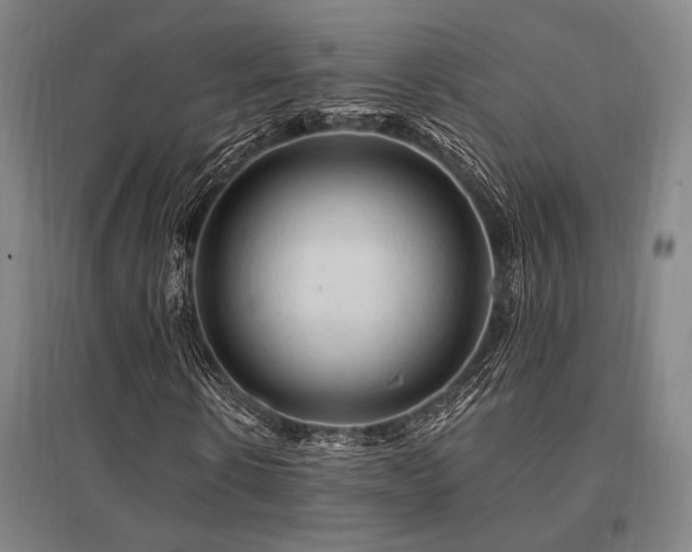 X0000095550914200712141551