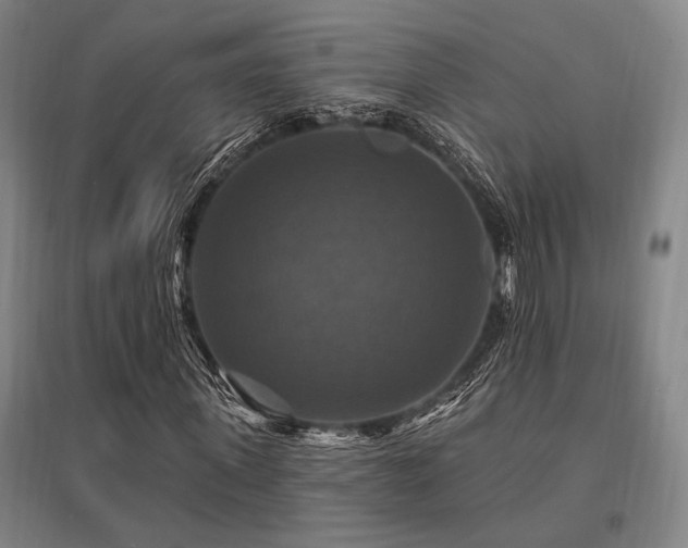 X0000095550915200712141552