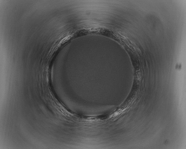 X0000095550916200712141552