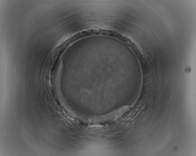 X0000095550919200712141552