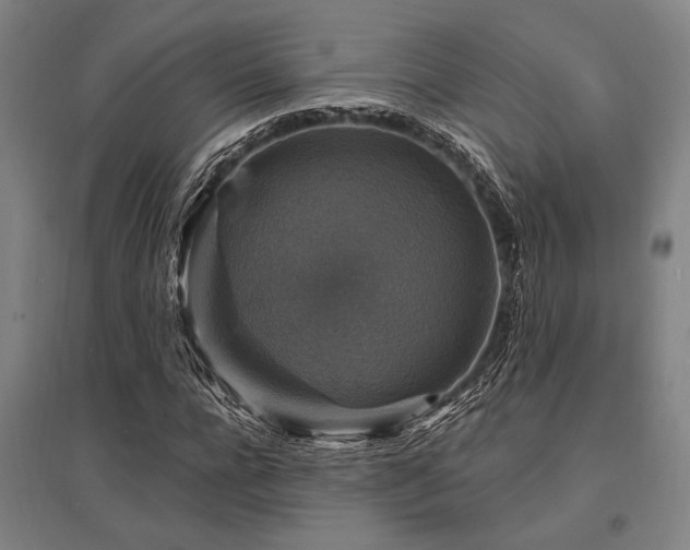 X0000095550920200712141552