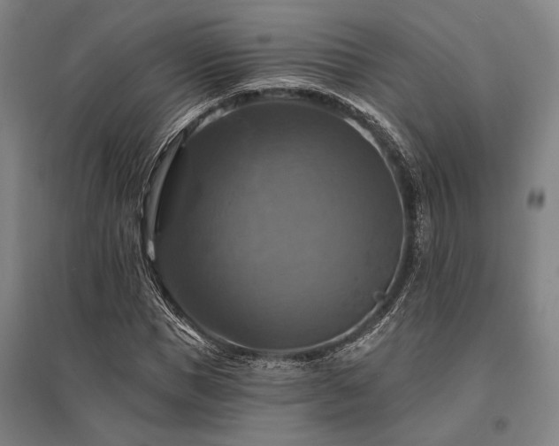 X0000095550921200712141552