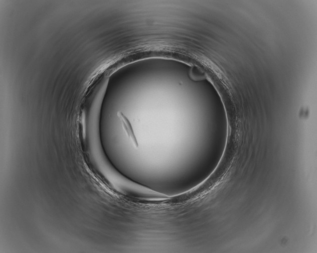 X0000095550922200712141552