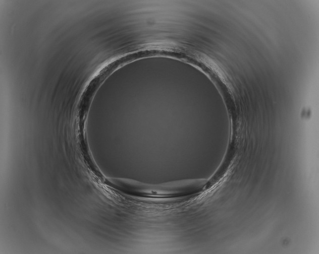 X0000095550923200712141552