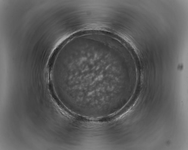 X0000095550925200712141552