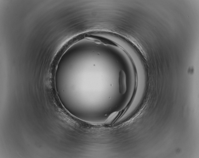 X0000095550926200712141552