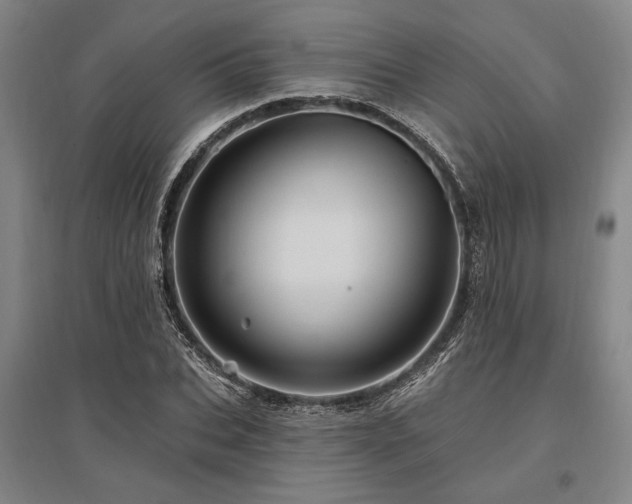 X0000095550927200712141552