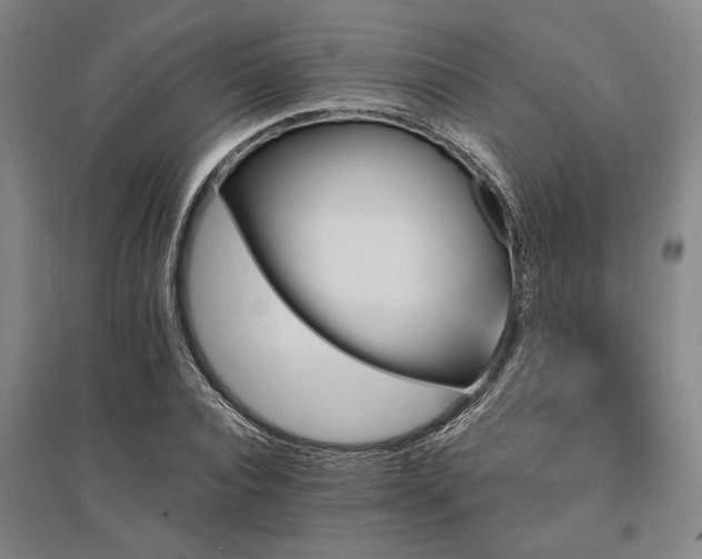 X0000095550928200712141552