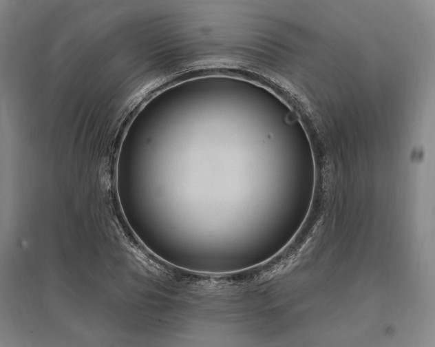 X0000095550929200712141552