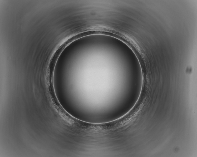 X0000095550931200712141552