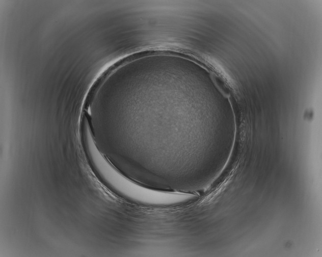 X0000095550932200712141552