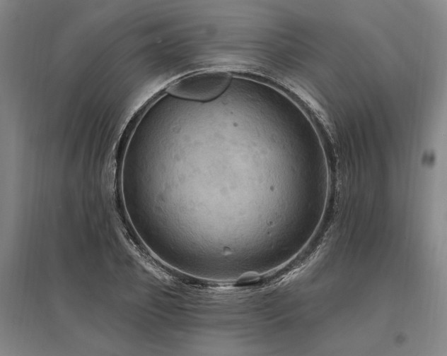 X0000095550933200712141552