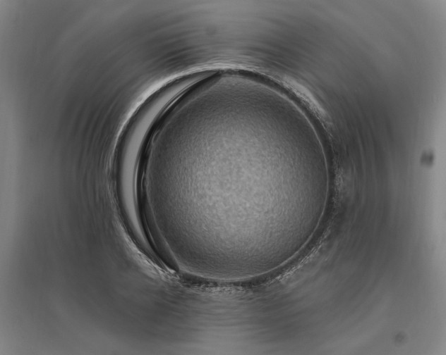 X0000095550934200712141552