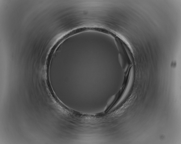 X0000095550935200712141552