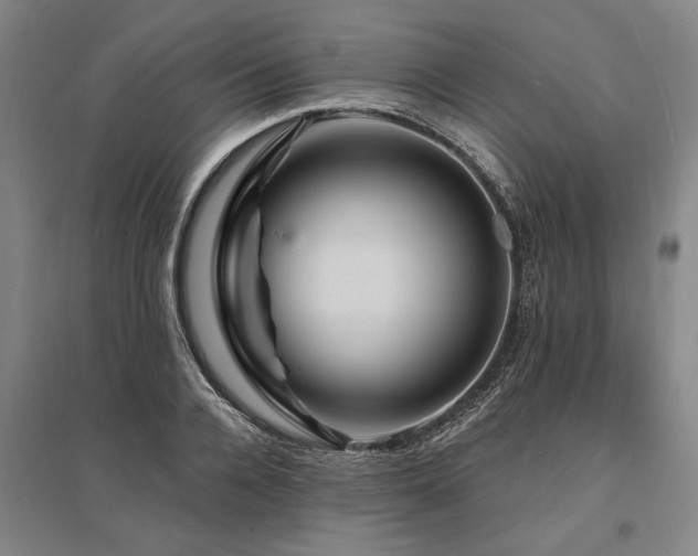 X0000095550936200712141552