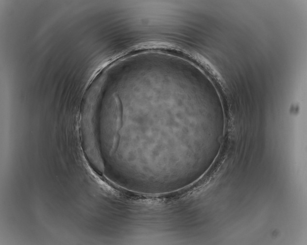 X0000095550937200712141552