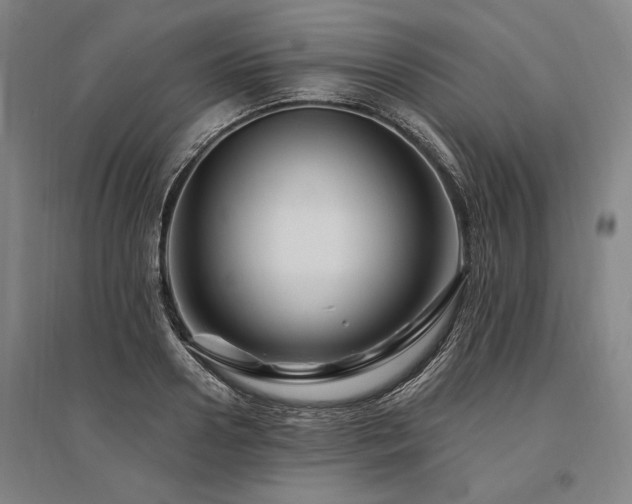 X0000095550938200712141552