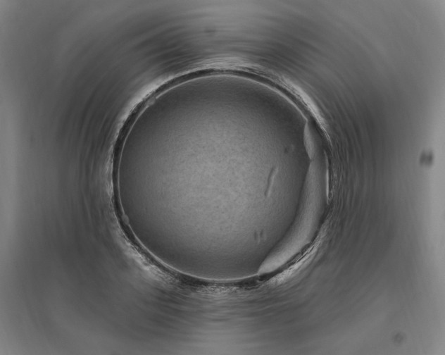 X0000095550939200712141552