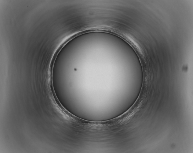 X0000095550940200712141552