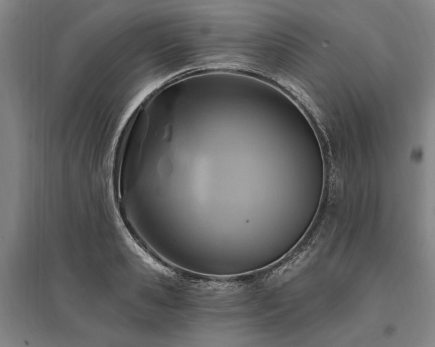 X0000095550941200712141552