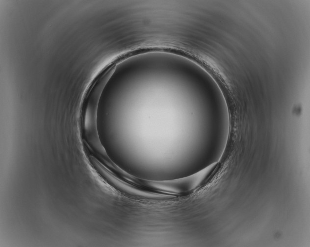 X0000095550942200712141552