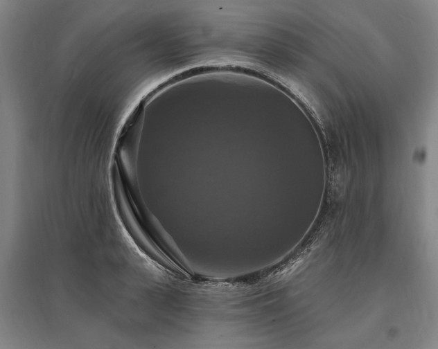 X0000095550943200712141552