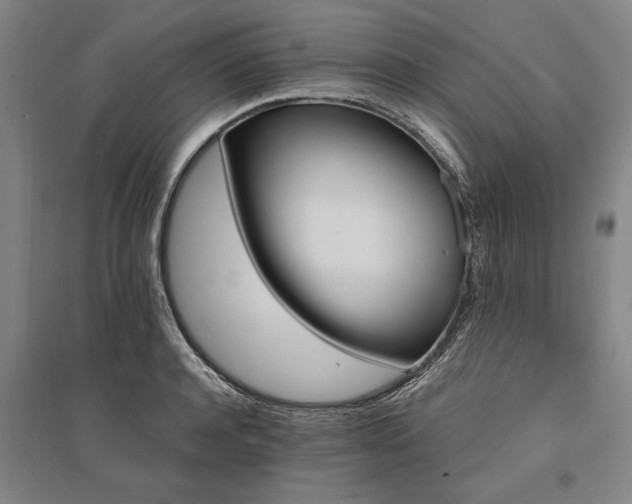 X0000095550944200712141552