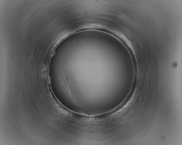 X0000095550945200712141552