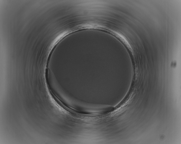 X0000095550946200712141552