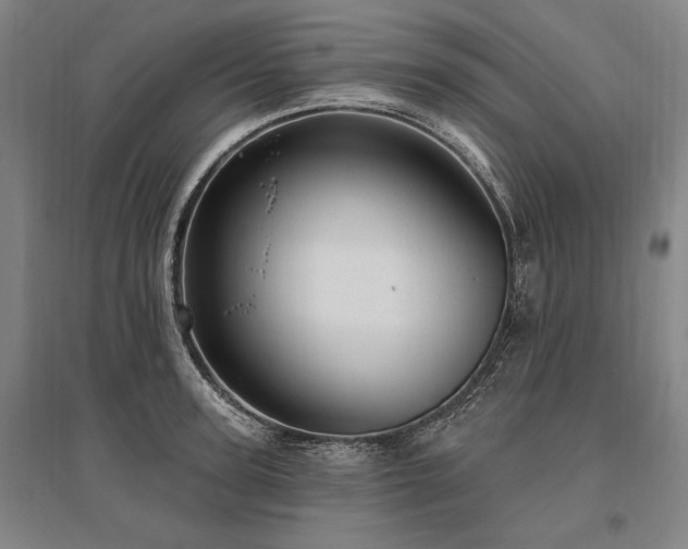 X0000095550947200712141552