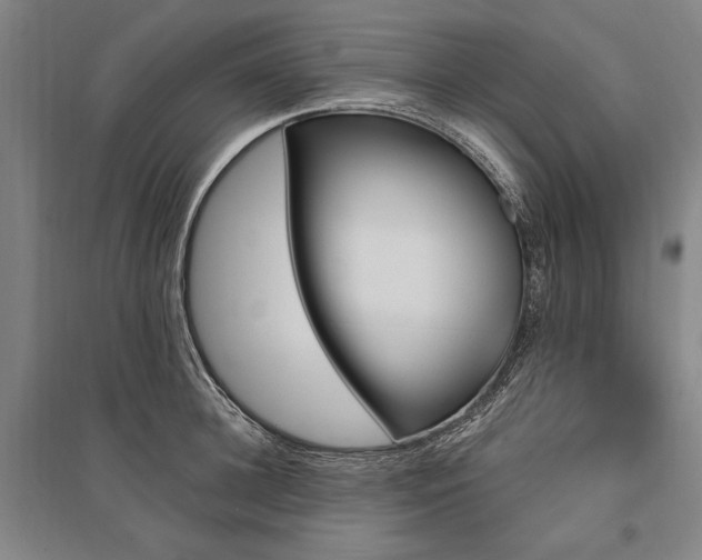 X0000095550948200712141552