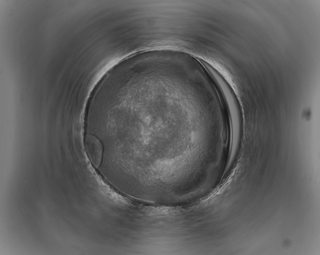 X0000095550949200712141552