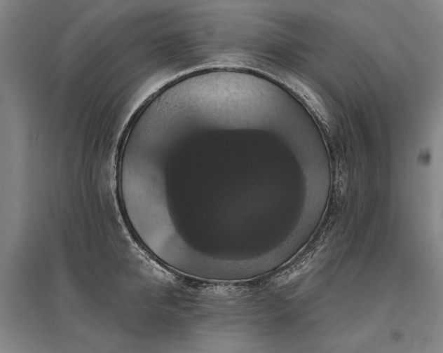 X0000095550950200712141552