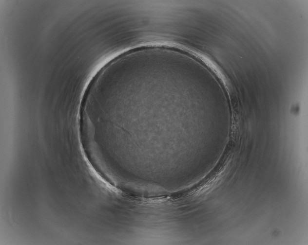 X0000095550951200712141552