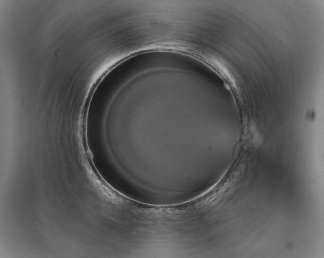 X0000095550952200712141552