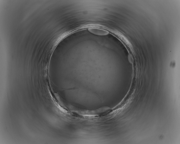 X0000095550953200712141552