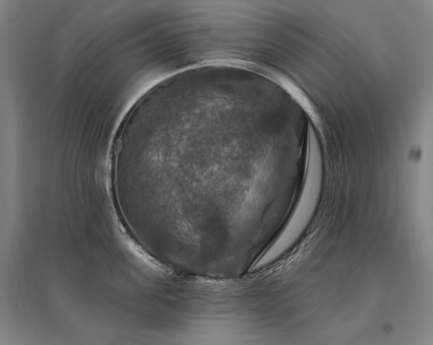 X0000095550955200712141552