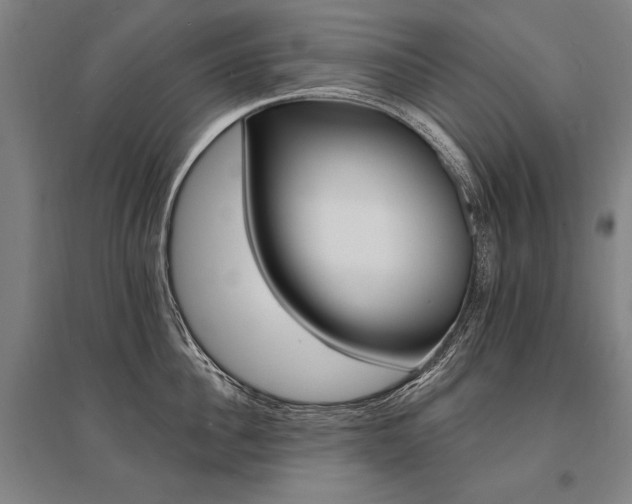 X0000095550956200712141552