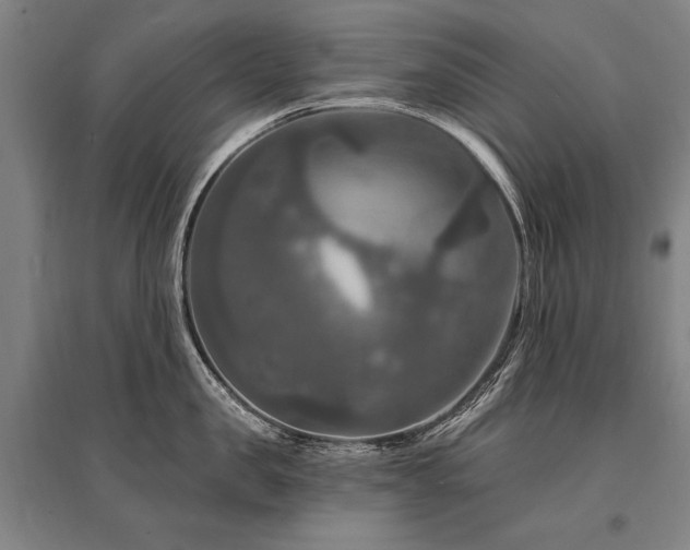 X0000095550957200712141552