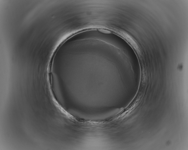 X0000095550958200712141552