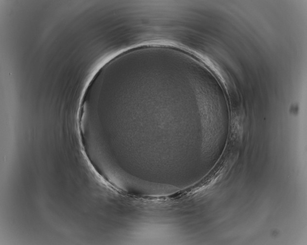 X0000095550959200712141552