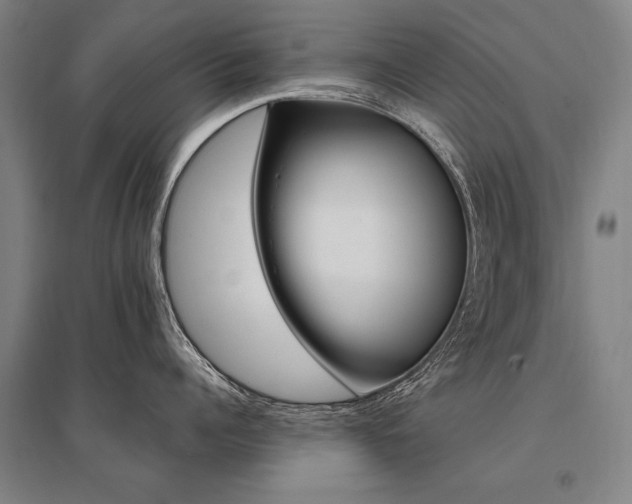 X0000095550960200712141552