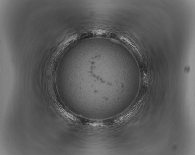 X0000095550961200712141551