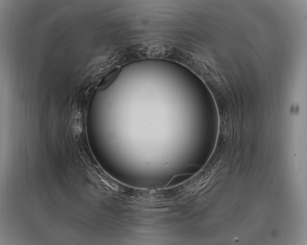 X0000095550962200712141551