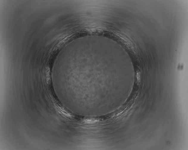 X0000095550963200712141551