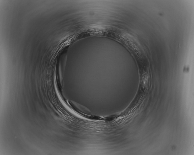 X0000095550964200712141551